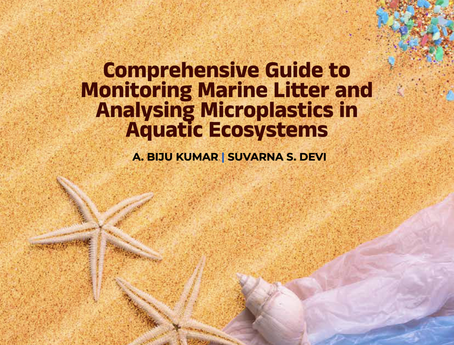 Comprehensive Guide to Monitoring Marine Litter and Analysing ...